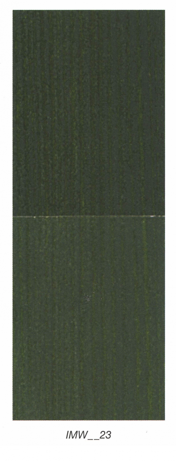 VERDE 23